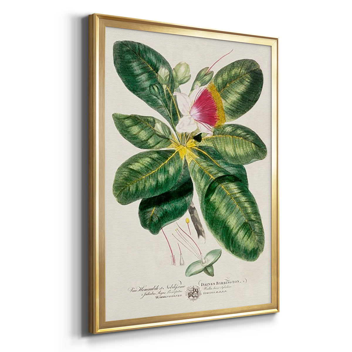 Imperial Tropical Botanical I - Modern Framed Canvas Print