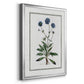 Soft Botanical II - Modern Framed Canvas Print