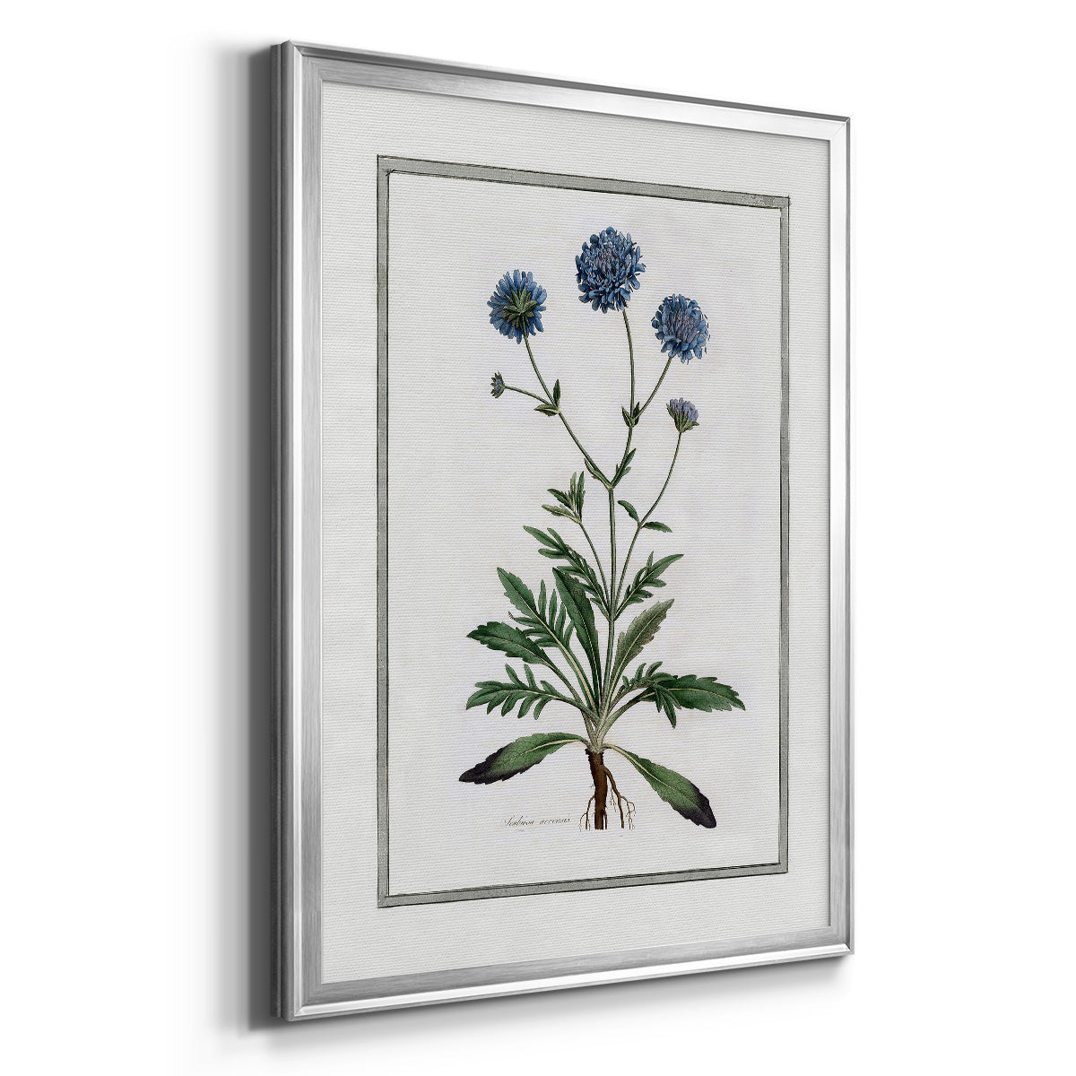 Soft Botanical II - Modern Framed Canvas Print