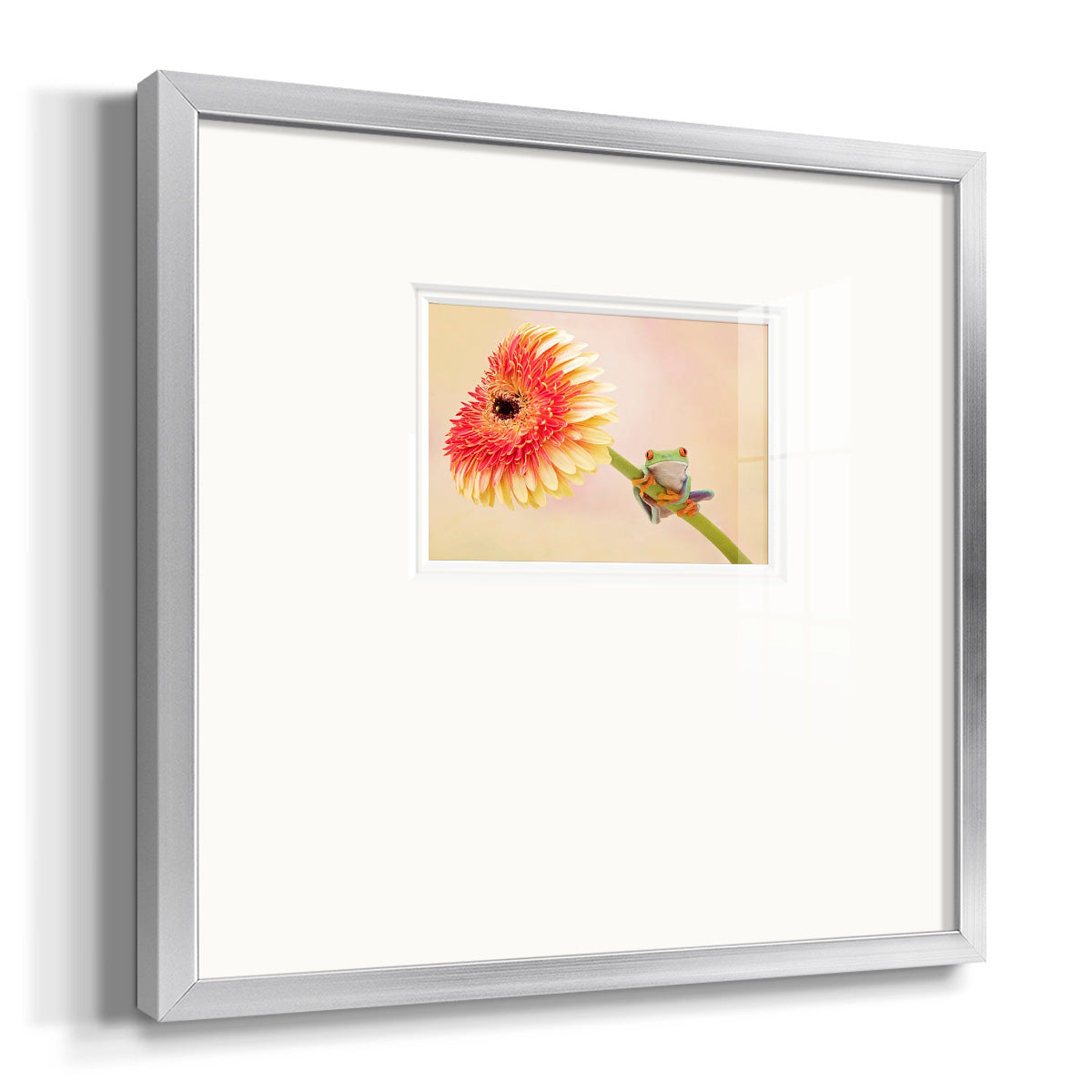 Hanging On IX Premium Framed Print Double Matboard