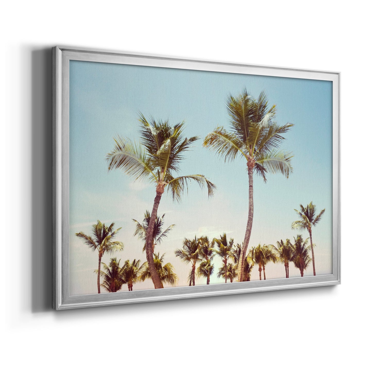 Aruba Palm - Modern Framed Canvas Print