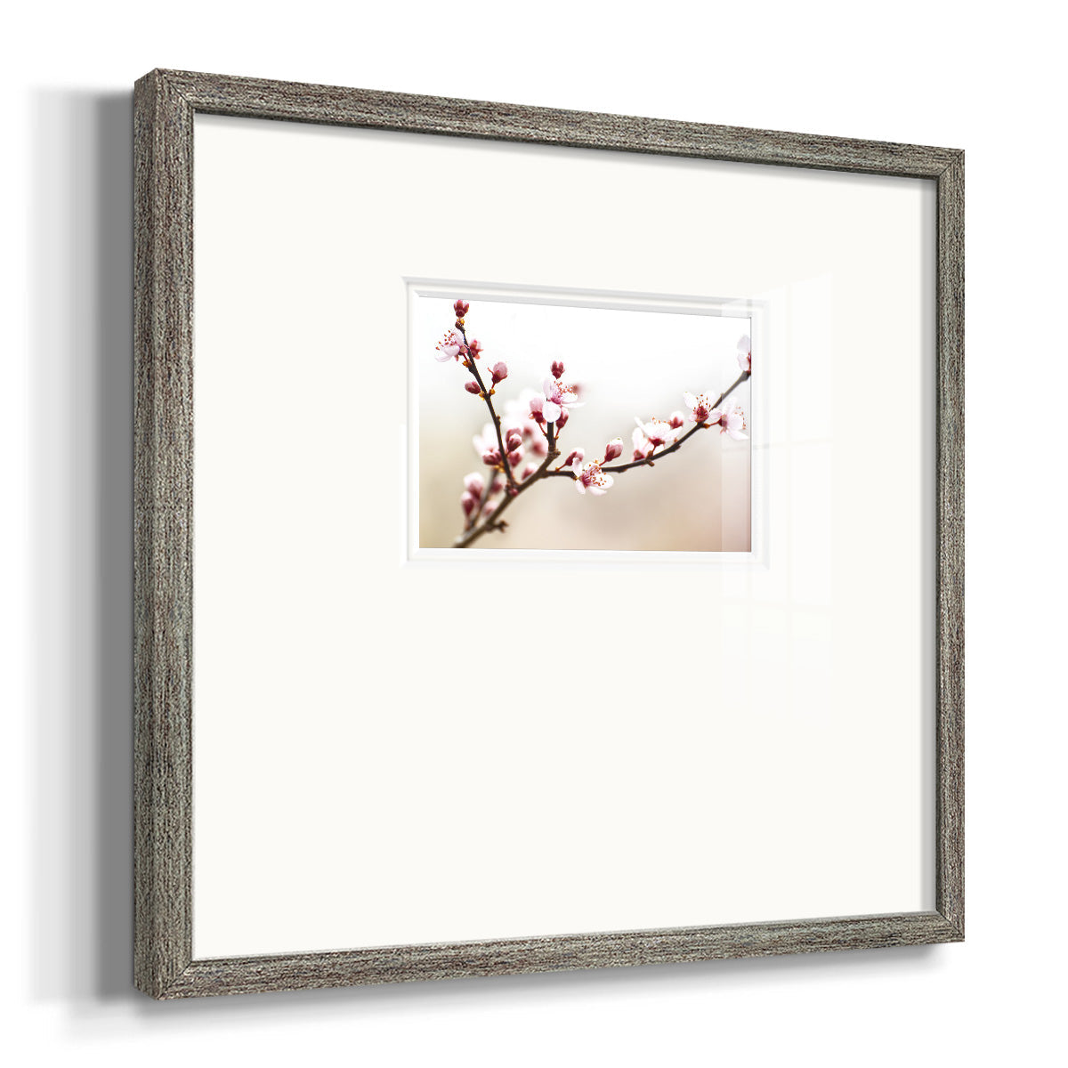 Cherry Blossom Study I - Double Matboard Framed Print
