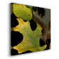 Small Vivid Leaves II (ST) - Canvas Art Print