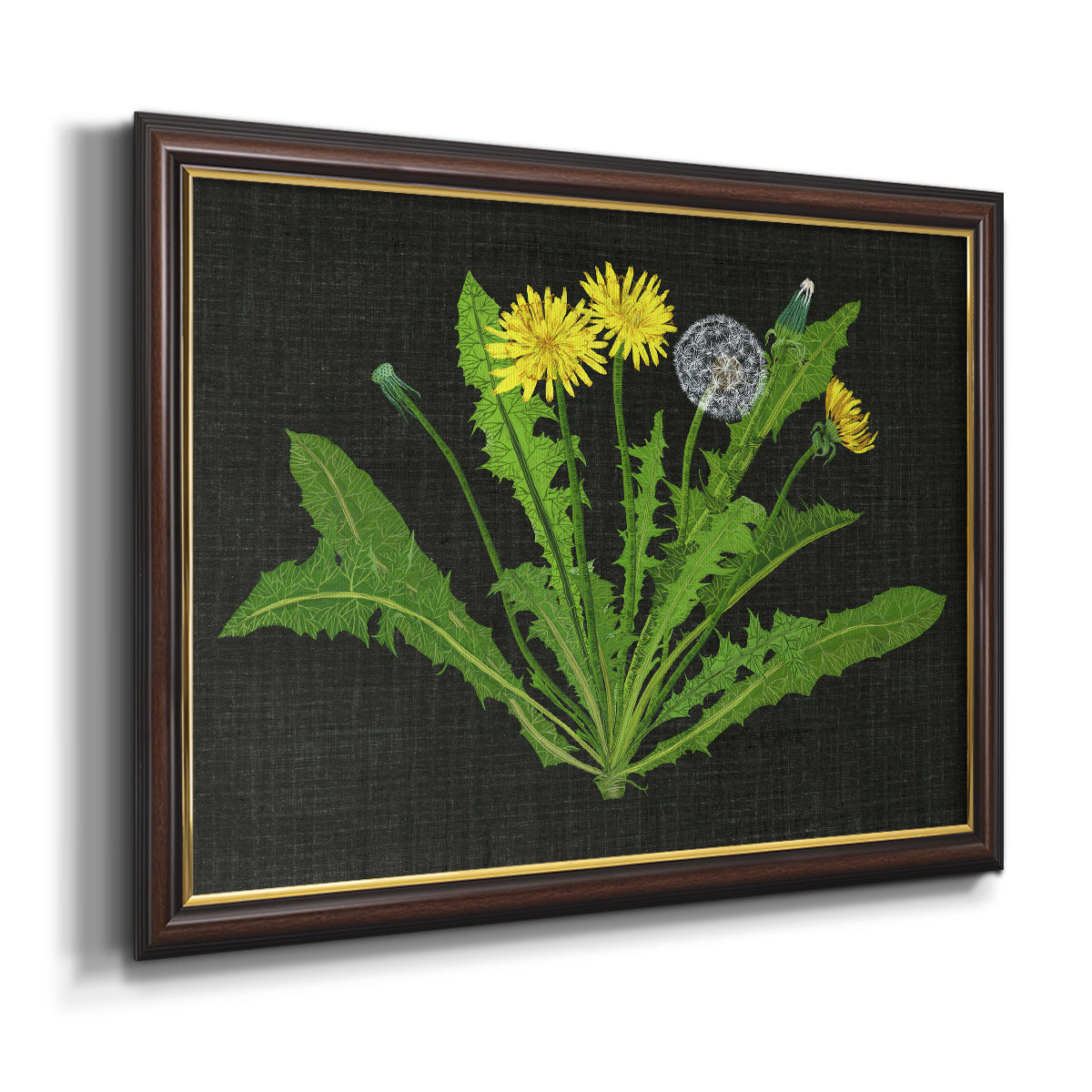 Wild Dandelion II Premium Framed Canvas- Ready to Hang