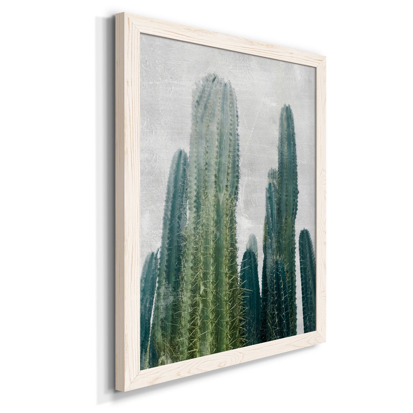 Aruba Cacti I - Premium Canvas Framed in Barnwood - Ready to Hang