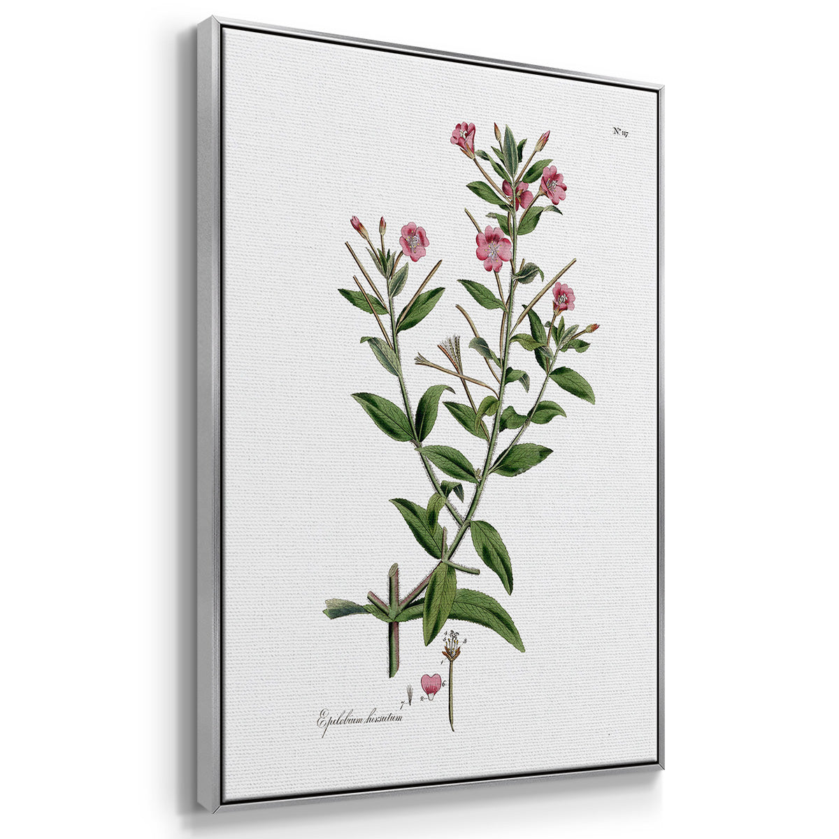 Rose Botanical I - Framed Premium Gallery Wrapped Canvas L Frame 3 Piece Set - Ready to Hang