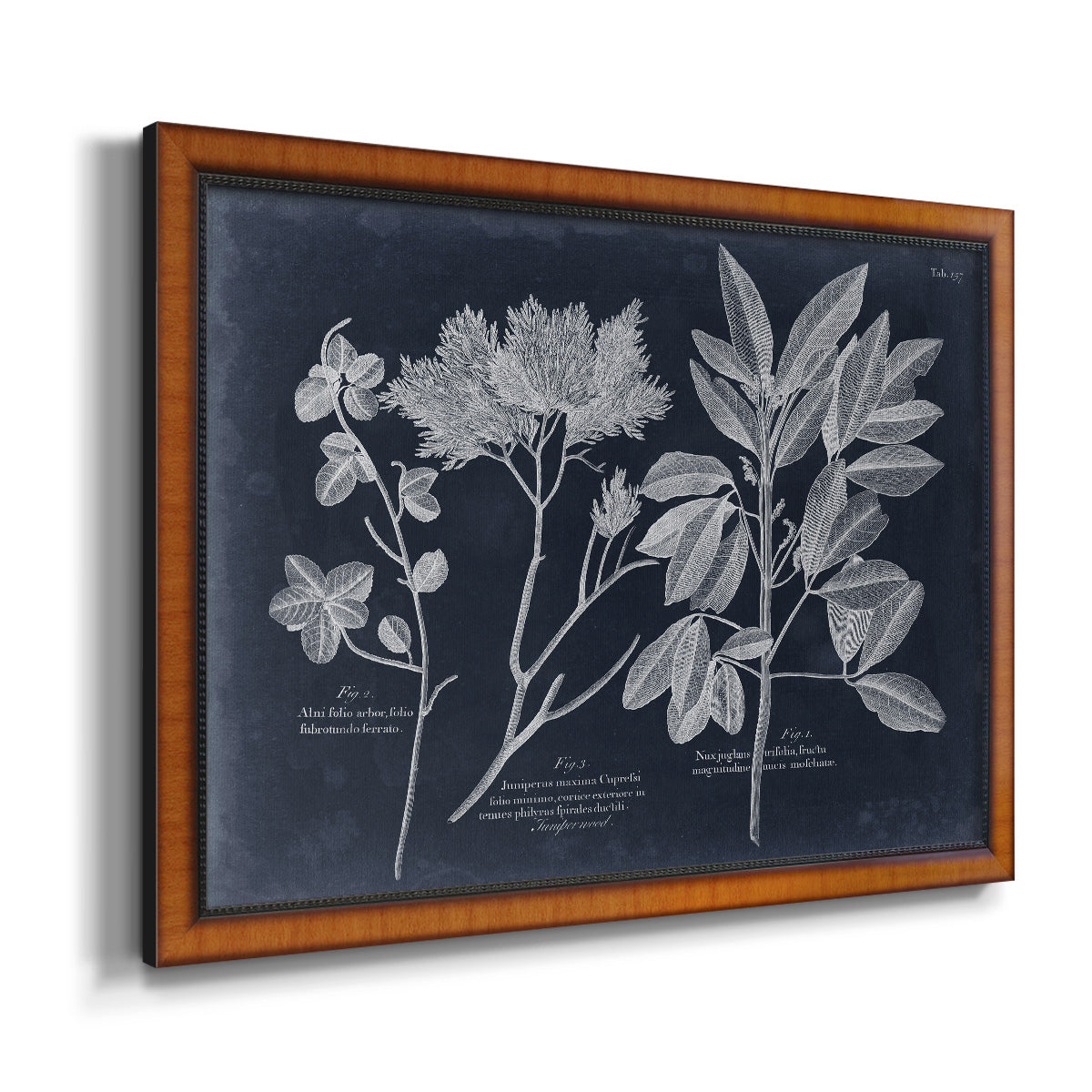 Foliage on Navy VI Premium Framed Canvas- Ready to Hang