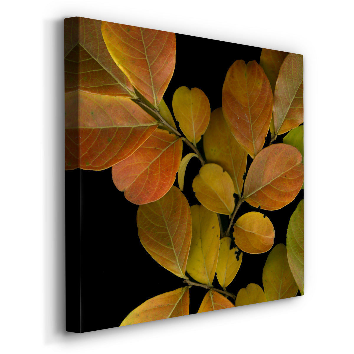 Small Vivid Leaves I (ST) - Canvas Art Print