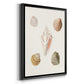 Pastel Knorr Shells IX - Modern Framed Canvas Print