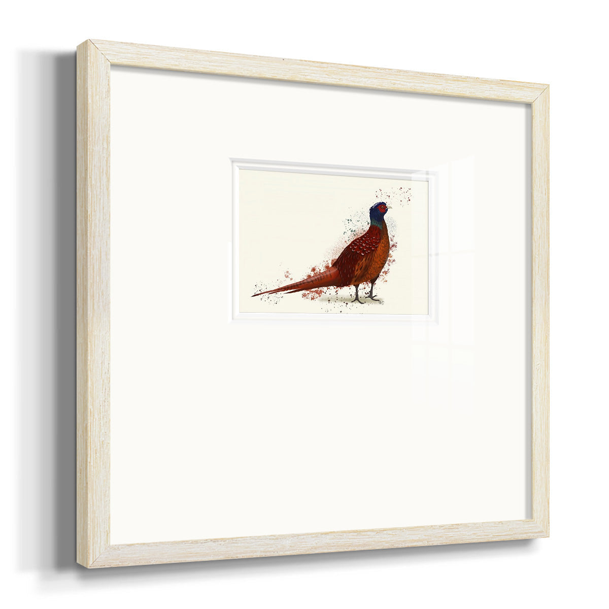 Pheasant Splash 4 Premium Framed Print Double Matboard