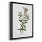 Rose Botanical III - Modern Framed Canvas Print