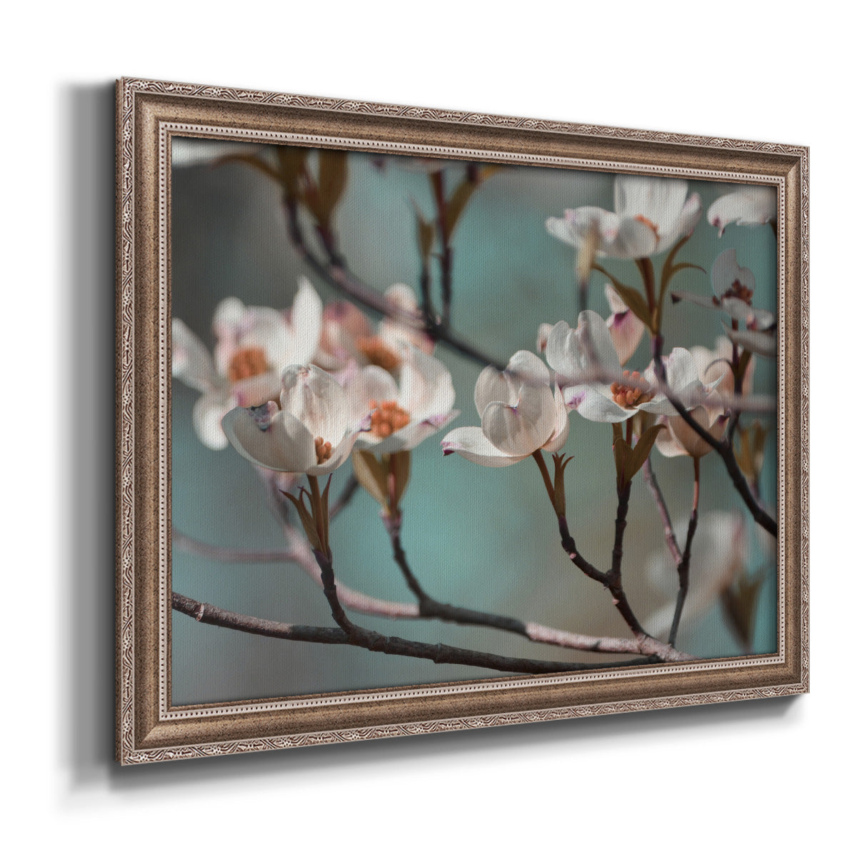 Dogwood Spring IV Premium Framed Canvas- Ready to Hang