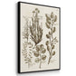 Sepia Botanical Journal VI - Framed Premium Gallery Wrapped Canvas L Frame 3 Piece Set - Ready to Hang