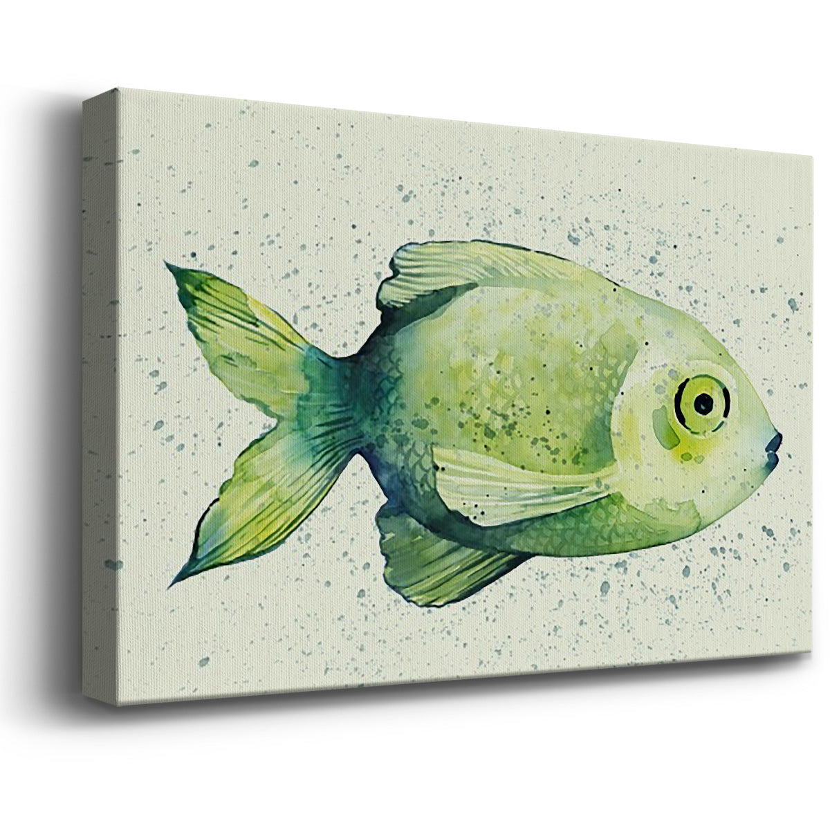 Speckled Freshwater Fish II Premium Gallery Wrapped Canvas - Ready to Hang