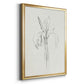 Neutral Iris Sketch II - Modern Framed Canvas Print