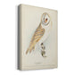 Barn Owl Premium Gallery Wrapped Canvas - Ready to Hang