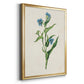 Flowers of the Seasons V - Modern Framed Canvas Print