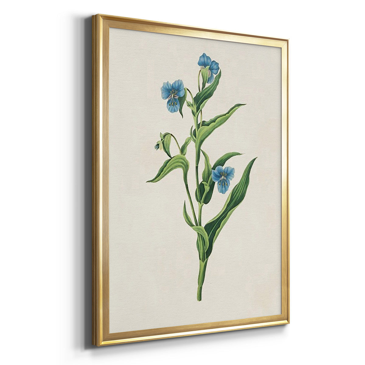 Flowers of the Seasons V - Modern Framed Canvas Print