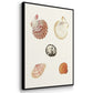 Pastel Knorr Shells IV - Framed Premium Gallery Wrapped Canvas L Frame 3 Piece Set - Ready to Hang