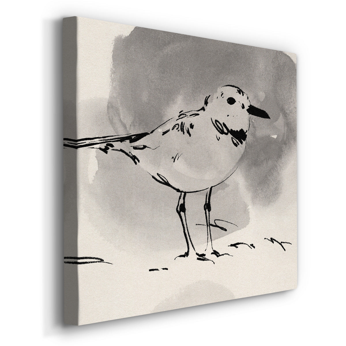 Inky Plover III - Canvas Art Print