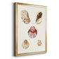 Pastel Knorr Shells V - Modern Framed Canvas Print