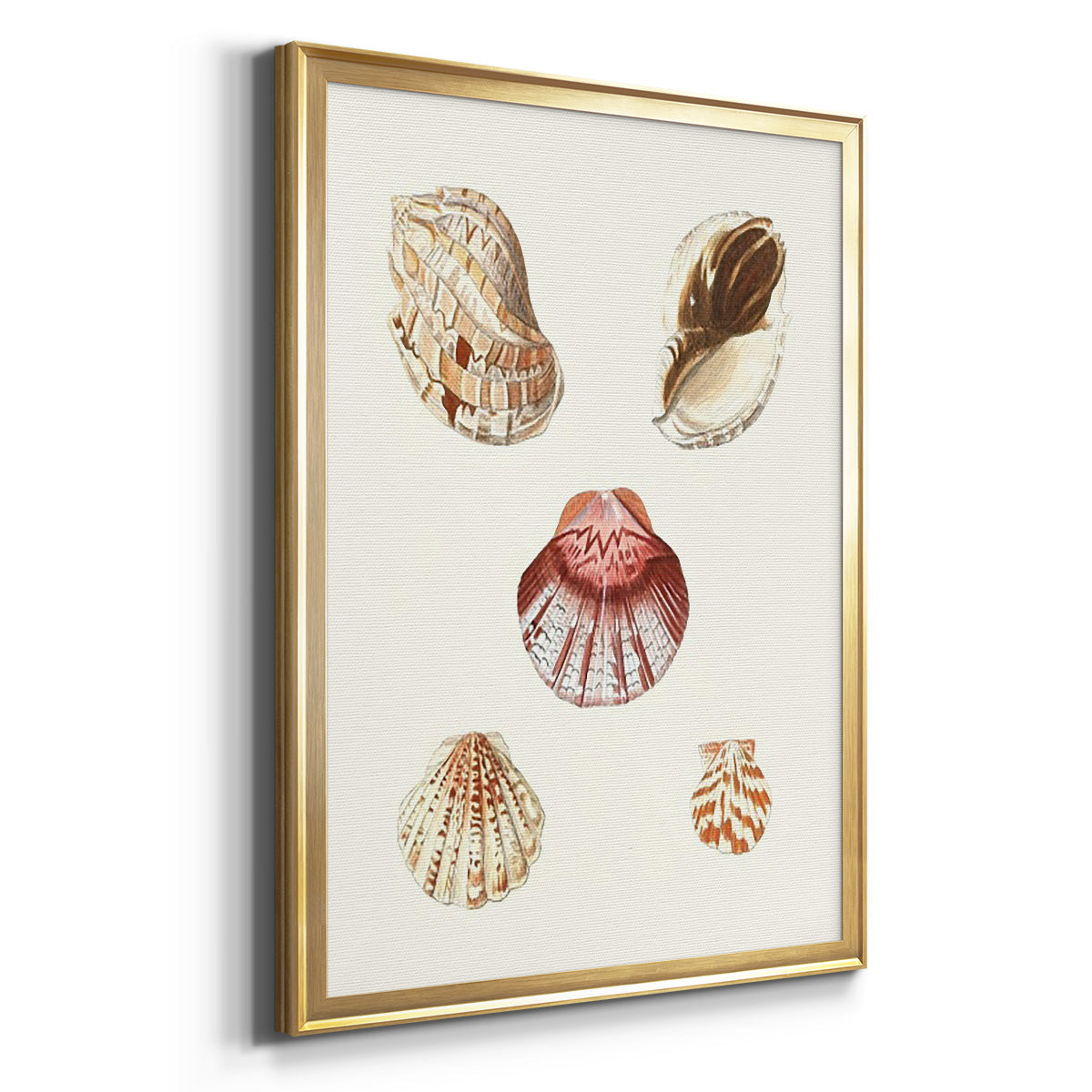 Pastel Knorr Shells V - Modern Framed Canvas Print