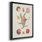 Knorr Shells & Coral II - Modern Framed Canvas Print