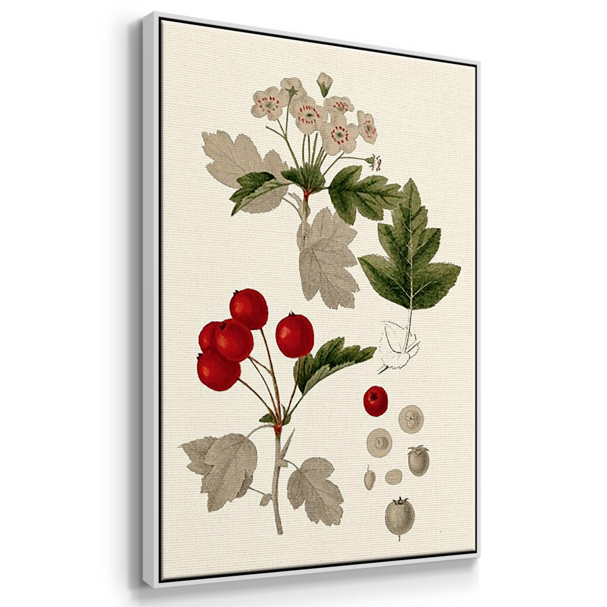 Leaves & Berries I - Framed Premium Gallery Wrapped Canvas L Frame 3 Piece Set - Ready to Hang