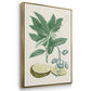 Buchoz Tropicals II - Floater Framed Canvas Set