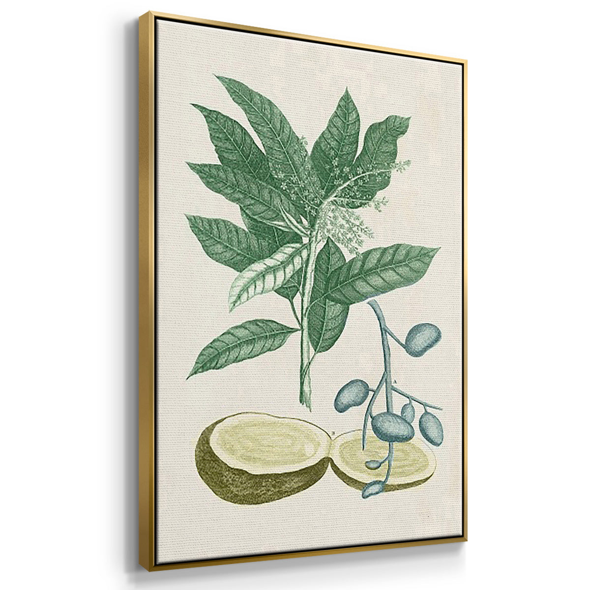 Buchoz Tropicals II - Floater Framed Canvas Set