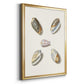 Pastel Knorr Shells III - Modern Framed Canvas Print