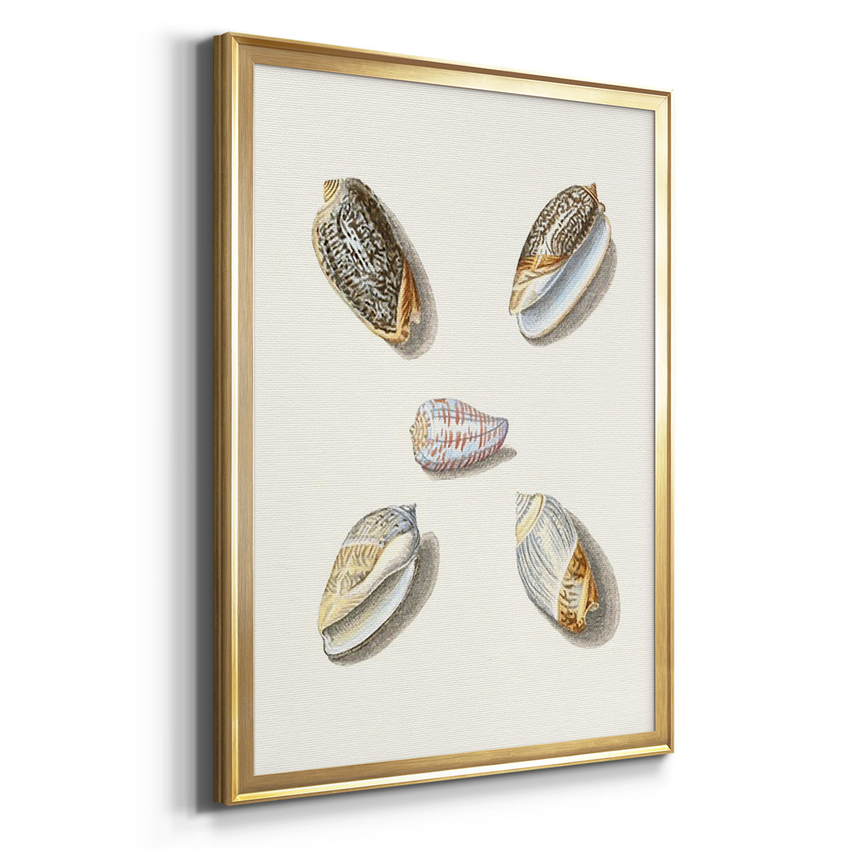 Pastel Knorr Shells III - Modern Framed Canvas Print