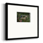 Zebra In Conservatory Premium Framed Print Double Matboard