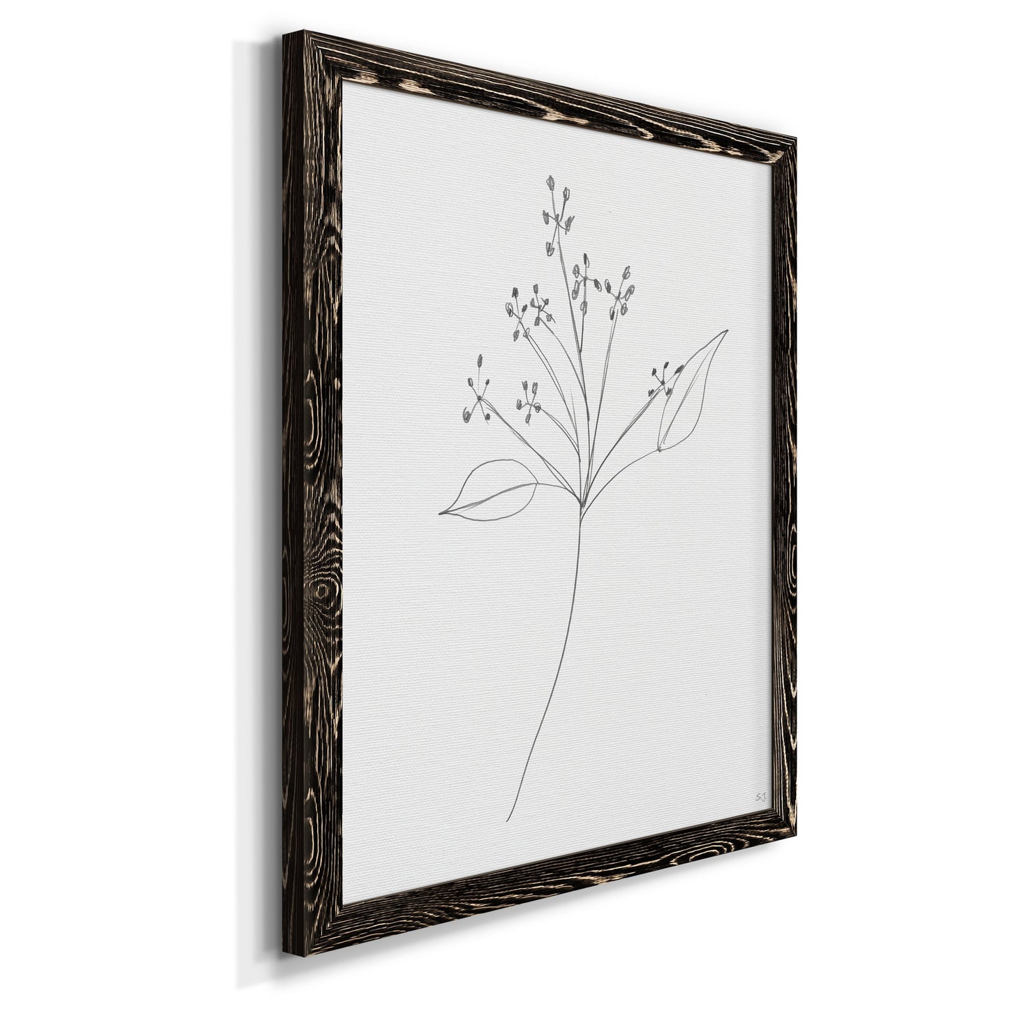 Botanical Gesture V - Barnwood Framed Canvas Print