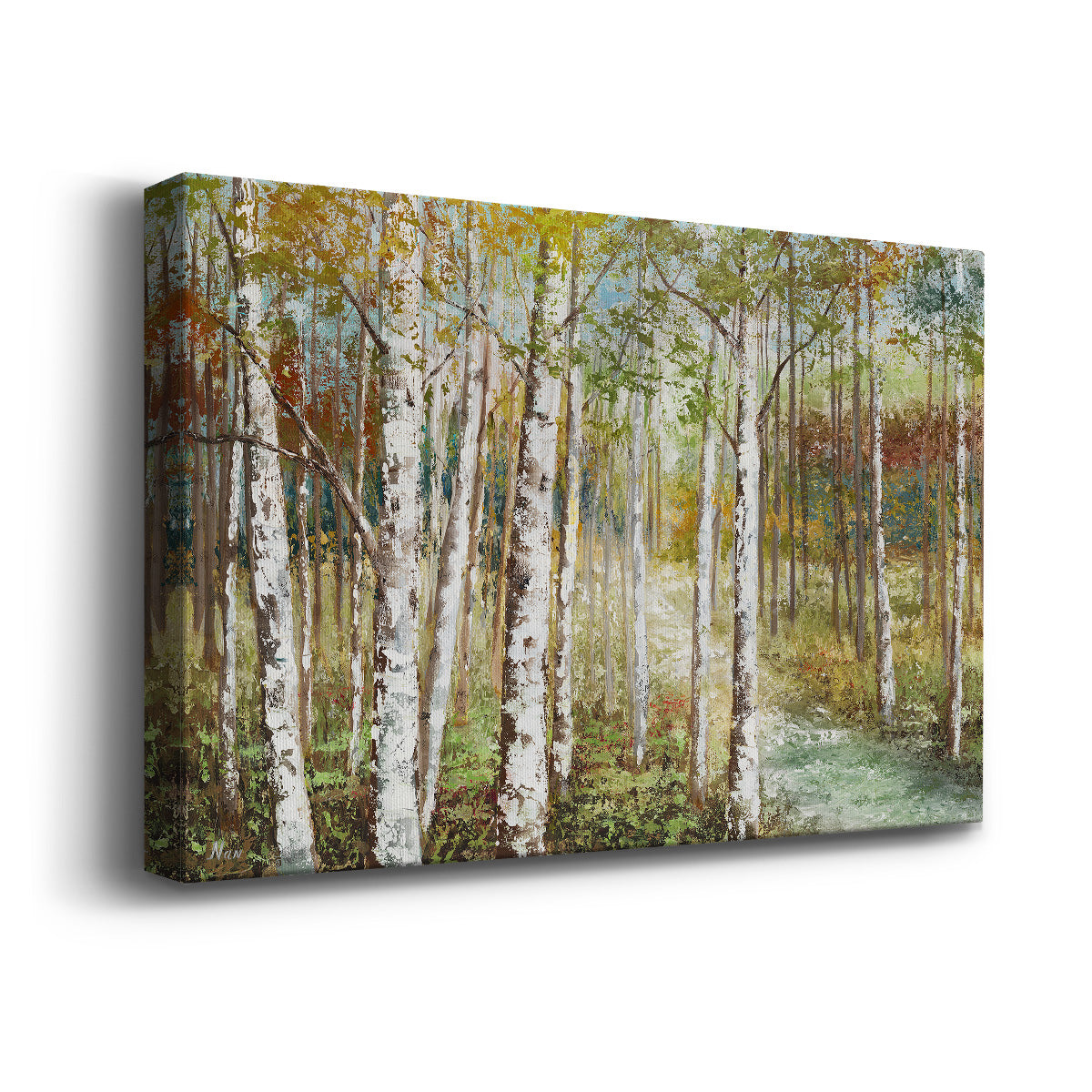 Fall Image 3 Premium Gallery Wrapped Canvas - Ready to Hang