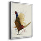 Pheasant Splash 8 - Modern Framed Canvas Print