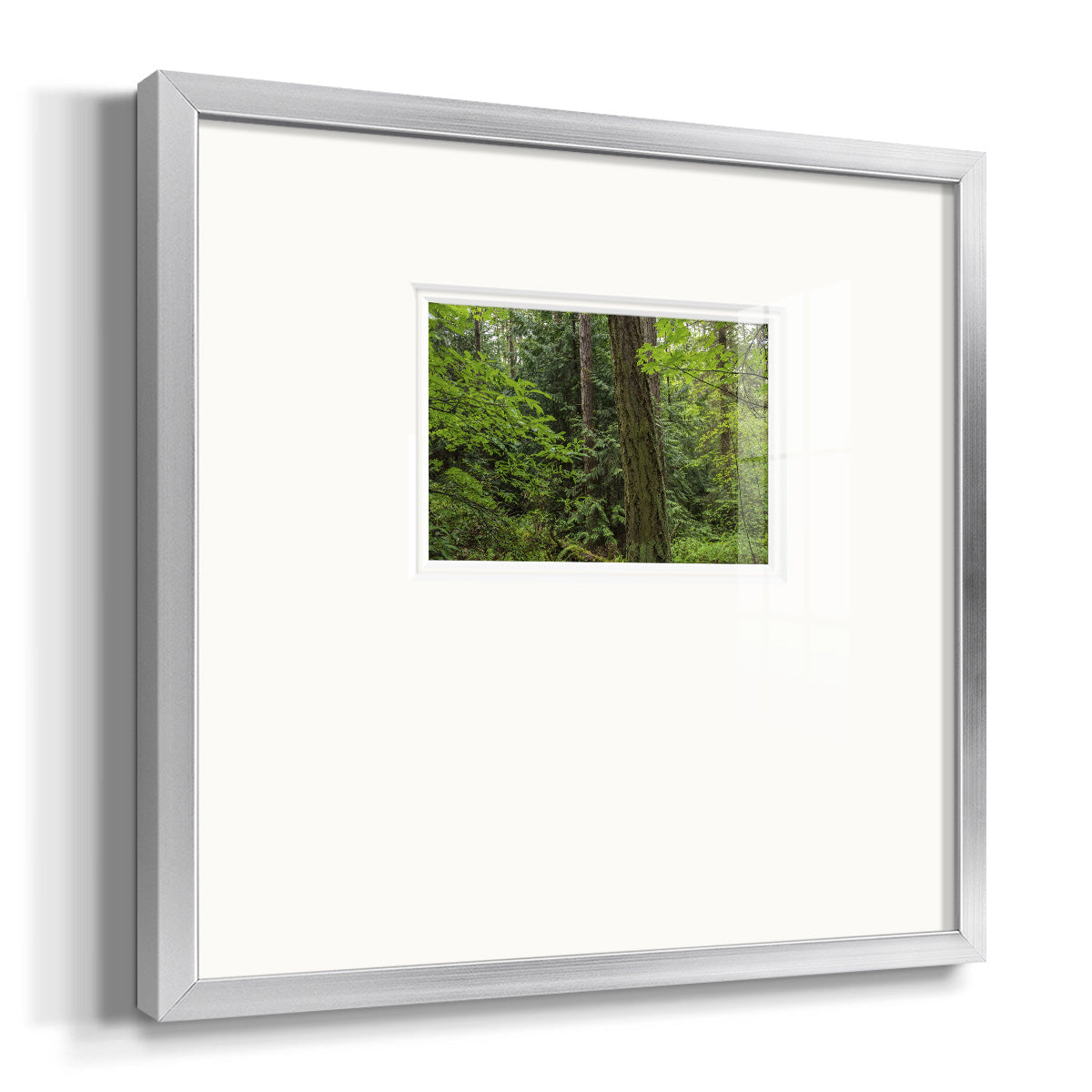 Calm of the Forest- Premium Framed Print Double Matboard