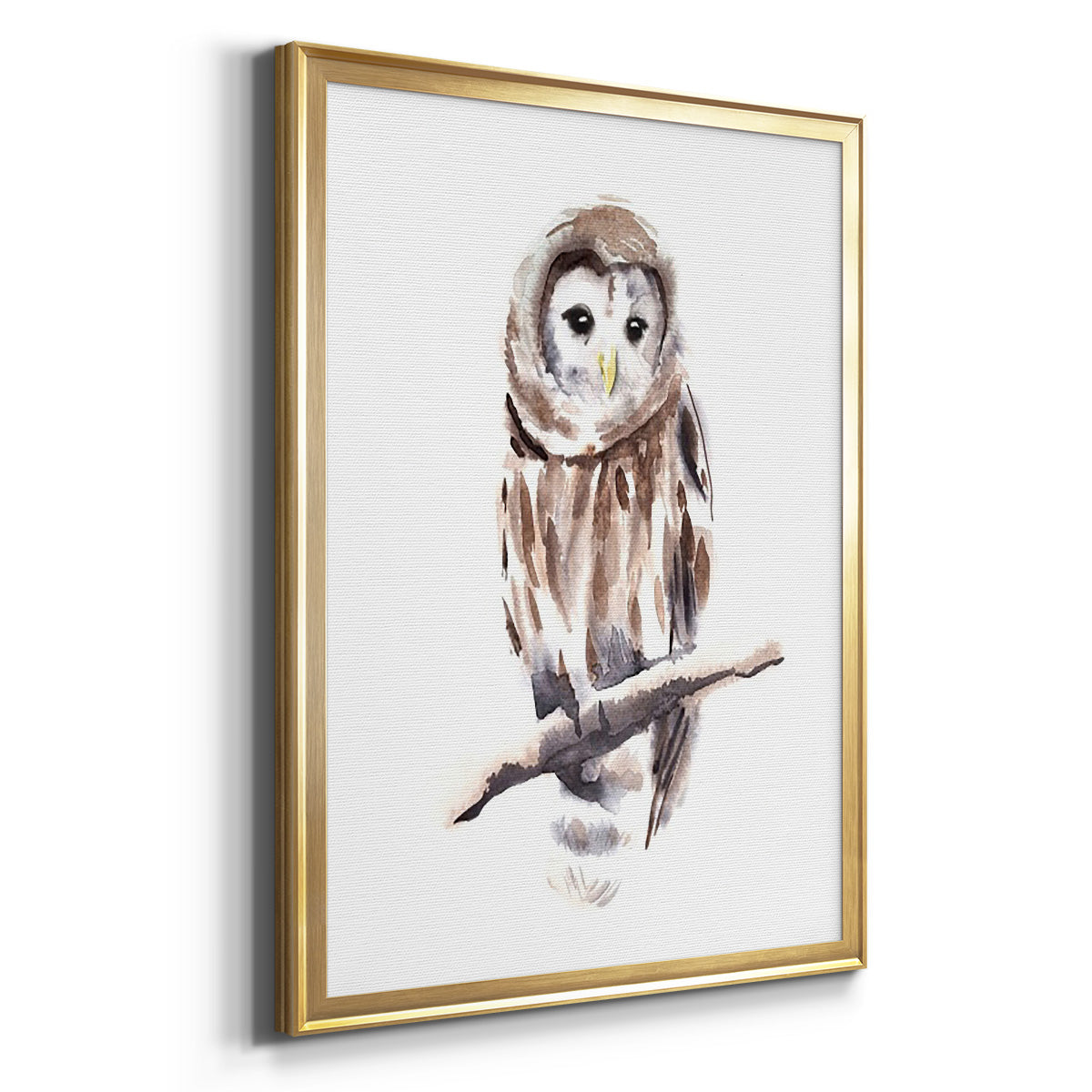 Barred Owl Impressions I - Modern Framed Canvas Print