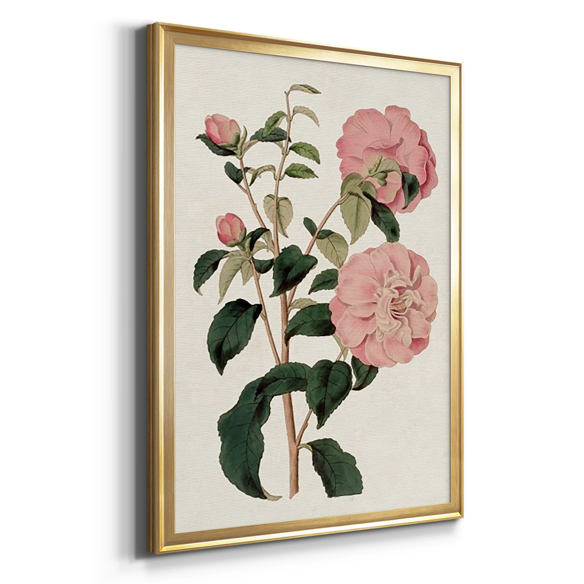 Pink Floral Mix IV - Modern Framed Canvas Print
