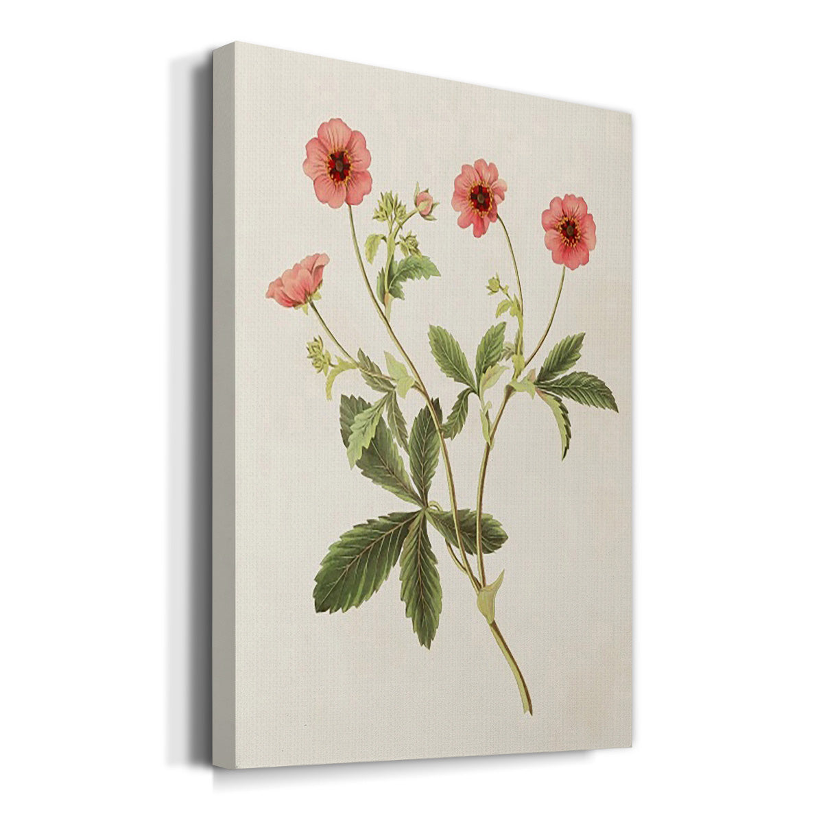 Flowers of the Seasons VIII - Canvas Art Print