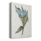 Blue Tulip Picks II Premium Gallery Wrapped Canvas - Ready to Hang