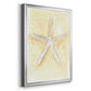 Salty Seashell I - Modern Framed Canvas Print