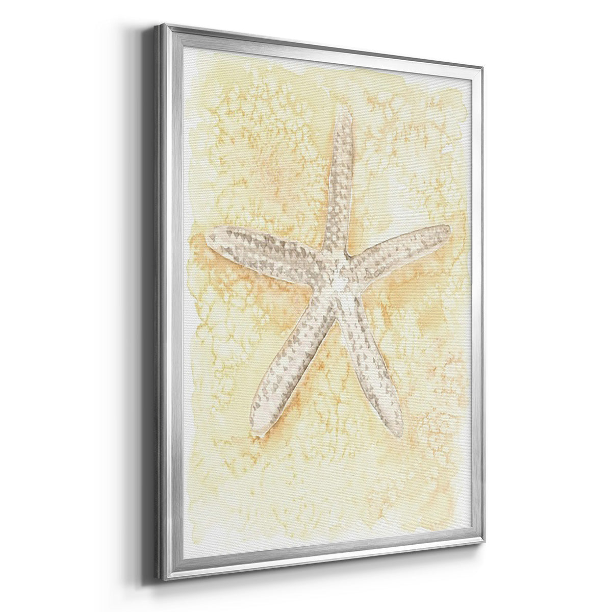 Salty Seashell I - Modern Framed Canvas Print