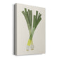 Organic Veg II Premium Gallery Wrapped Canvas - Ready to Hang