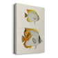 Yellow & Grey Fish I Premium Gallery Wrapped Canvas - Ready to Hang