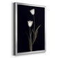 Tulip Pose II - Modern Framed Canvas Print