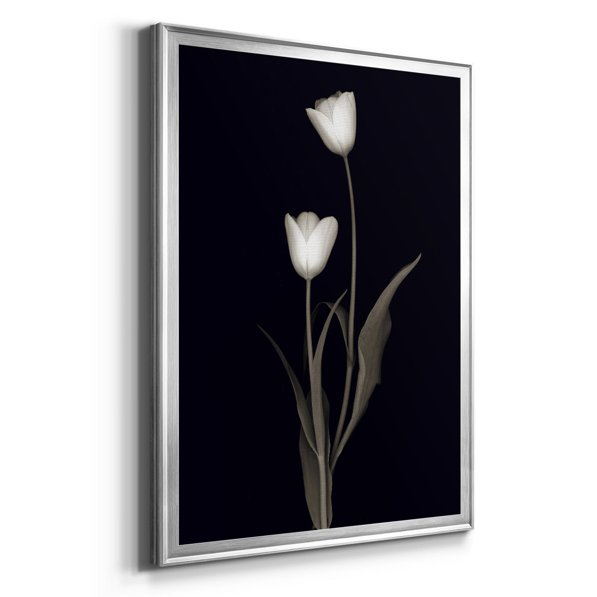 Tulip Pose II - Modern Framed Canvas Print