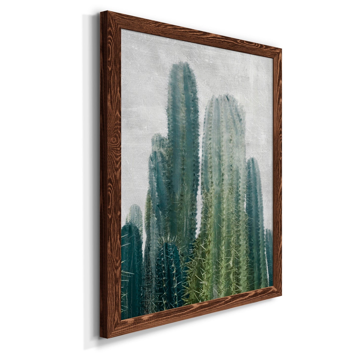 Aruba Cacti II - Barnwood Framed Canvas Print