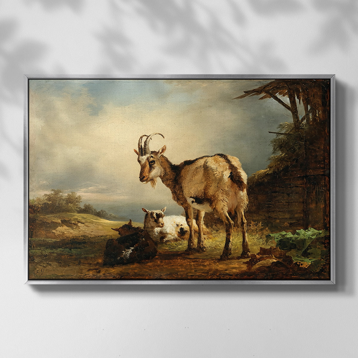 A Goat with Two Kids - Floater Framed Canvas Print