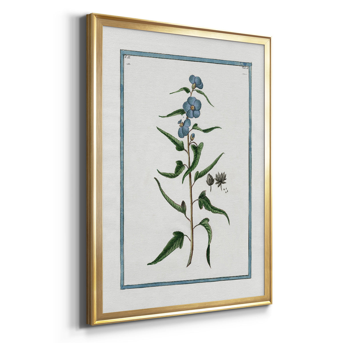 Shabby Chic Botanical I - Modern Framed Canvas Print